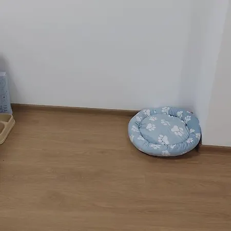 Apartamentul Relaxarii M&f Apartment