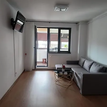 Apartment Apartamentul Relaxarii M&f Bucharest