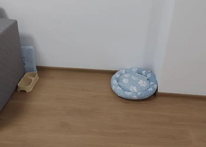 Apartamentul Relaxarii M&f Daire